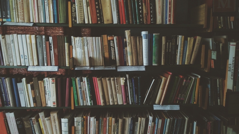 librairie-LE ROURET-min_bookcase-1869616