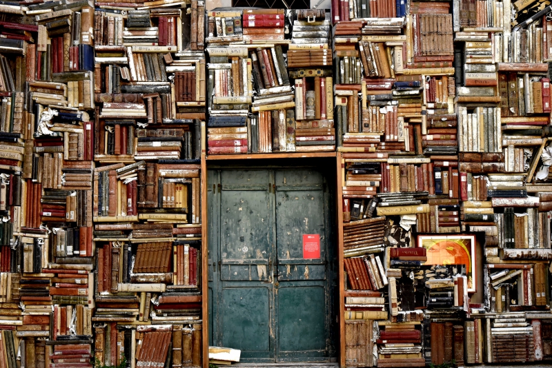 librairie-LE ROURET-min_books-1655783